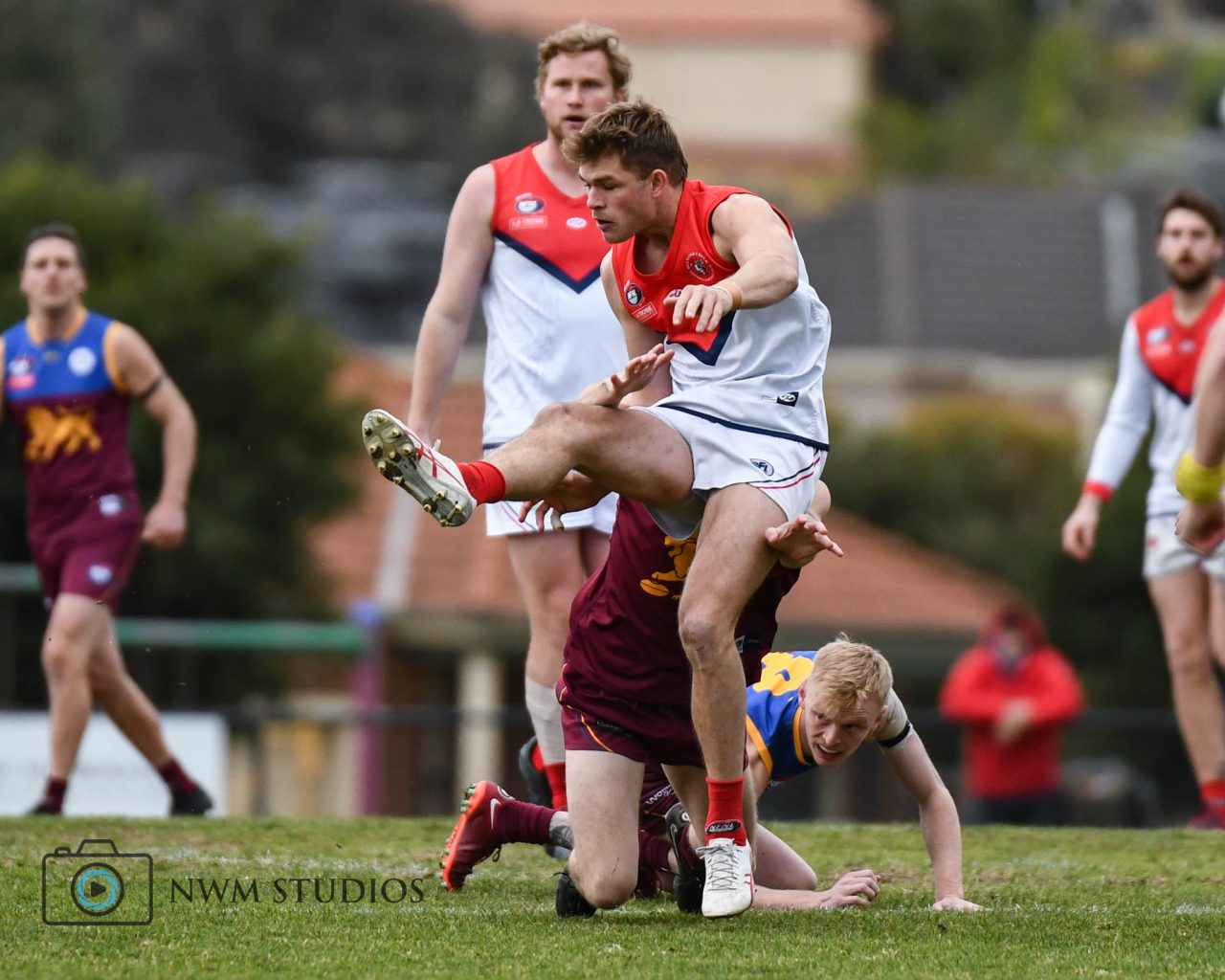 Gallery | Diamond Creek Football Netball Club